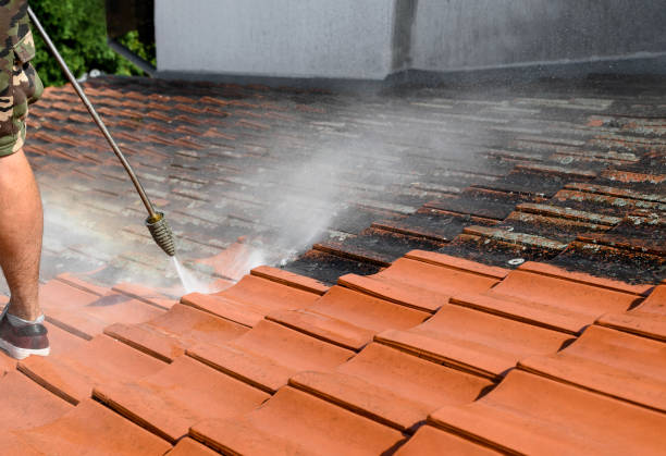 Best House Pressure Washing  in Ligh, NE